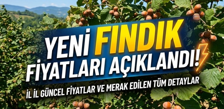 Fındık Fiyatları Ne Kadar Oldu? Trabzon, Giresun Ve Ordu’da Güncel Liste Açıklandı