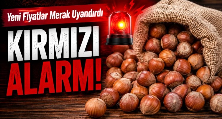 Karadeniz’de Fındık Fiyatlarında Hareketlilik: Üretici Yükseliş Bekliyor