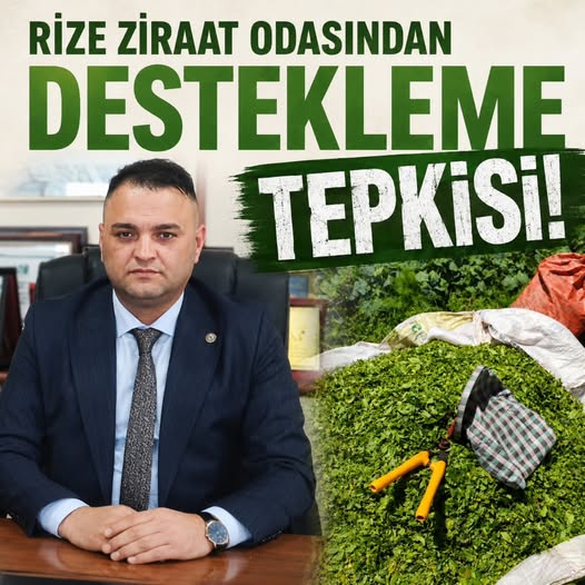 Bünyamin Arslan’dan Yaş Çay Fiyatı Değerlendirmesi: “Destekleme Kaldırılması Eksiklik”