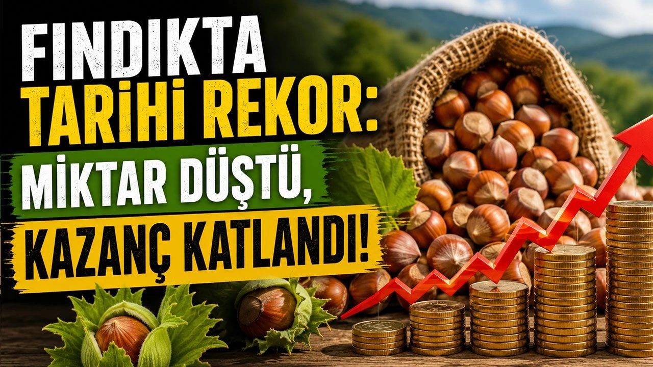 Fındık Fiyatlarında Son Durum: Piyasada Temkinli Yükseliş