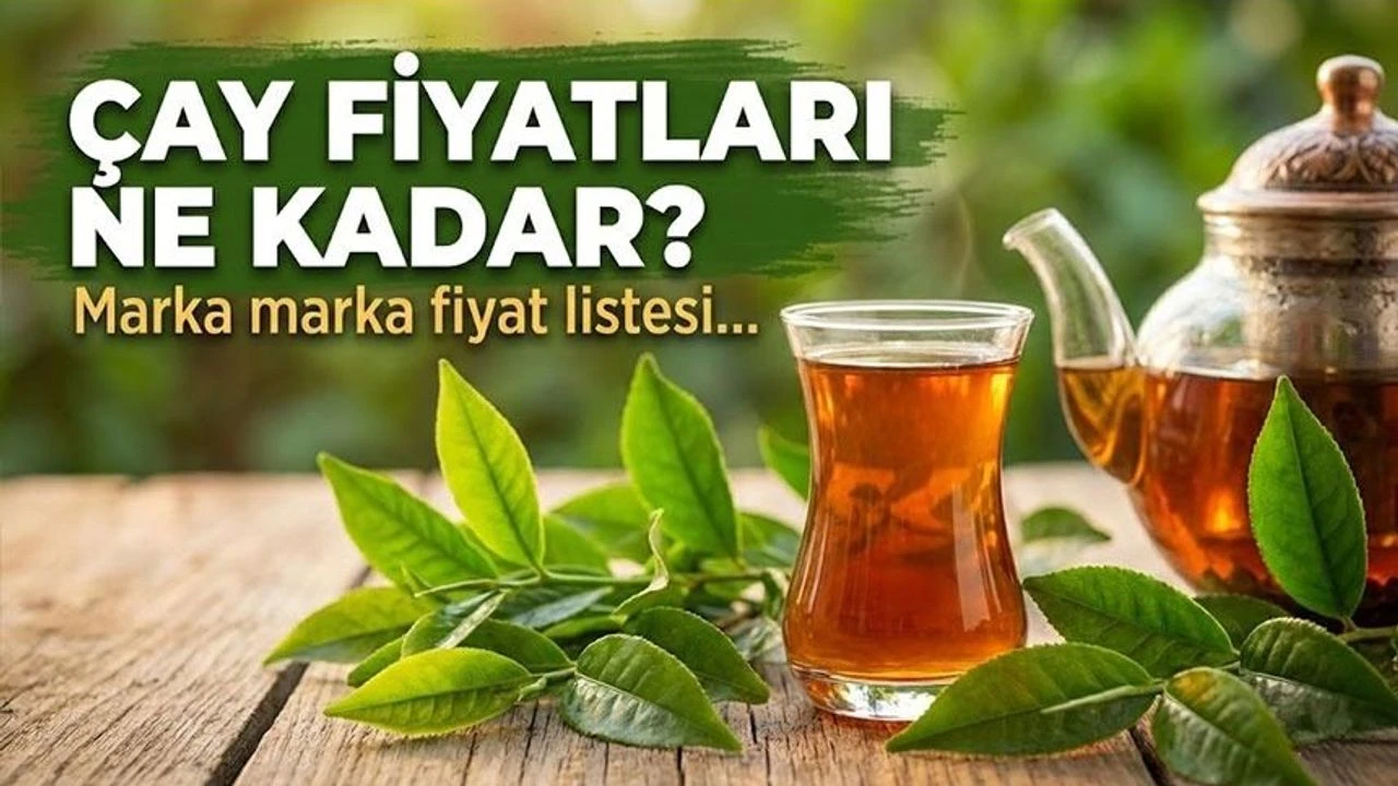 Yaş Çayda Rekor Artış: Kilo 35 TL Oldu, Gözler Kuru Çay Fiyatlarında