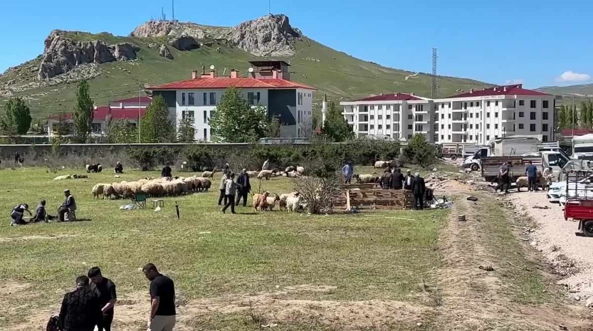 Van'da besiciler bayramda zarar ettiklerini dile getirdi