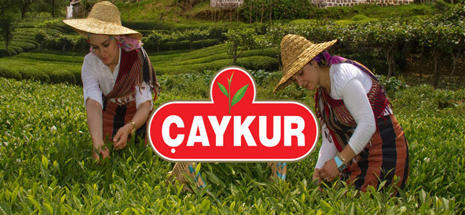 ÇAYKUR' dan Çay Üreticisine Müjde: Mayıs Ayı Yaş Çay Bedelleri 30 Haziran'da Hesaplarda