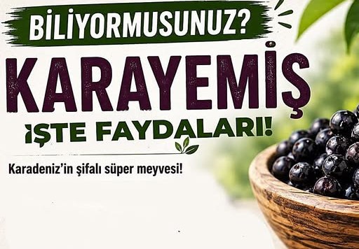 Karadeniz'in Doğal Hazinesi Karayemiş Sağlığa Faydalarıyla Dikkat Çekiyor