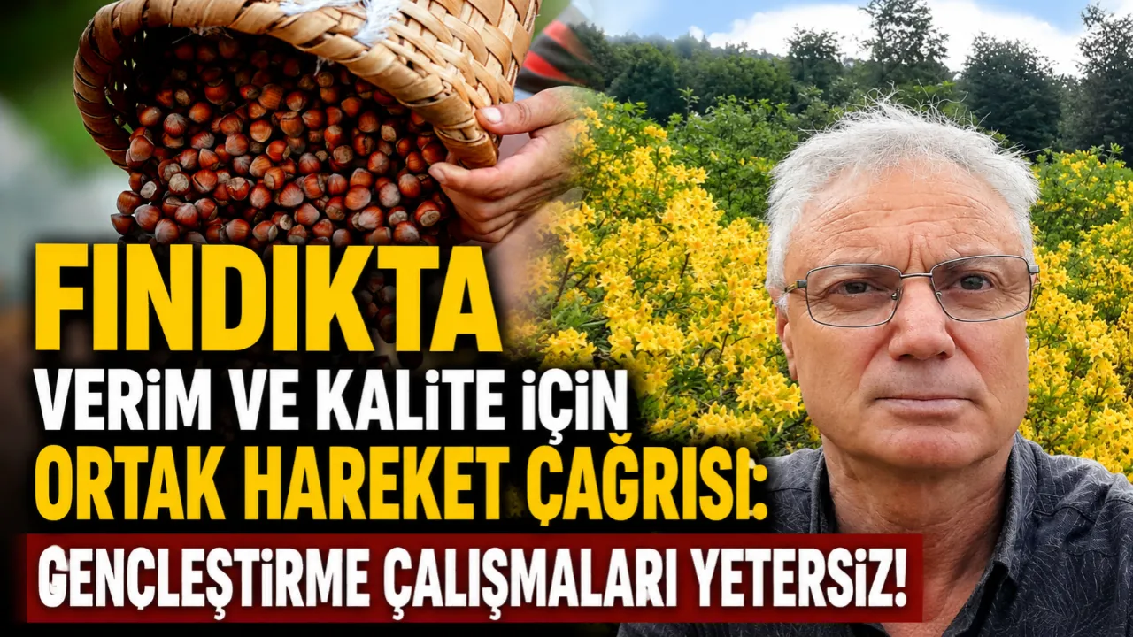 FINDIKTA VERİM VE KALİTE İÇİN ORTAK HAREKET ÇAĞRISI