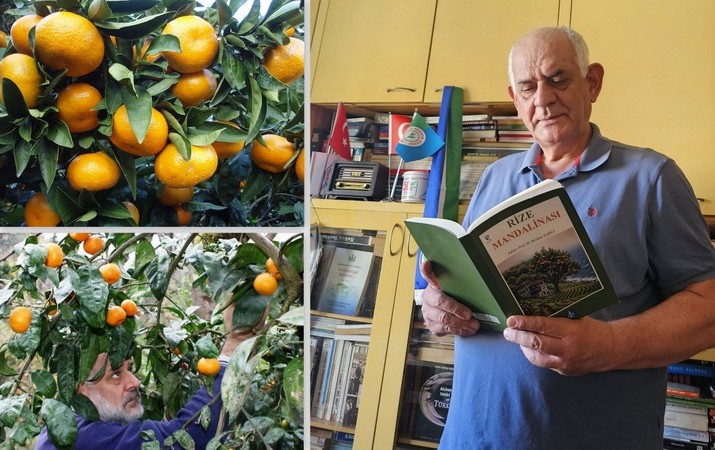 Rize Mandalinası Satsuma Ve Kitabı
