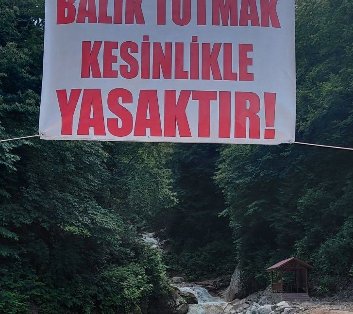 Rüzgârlı Köyü Deresinde Balık Avlamak Yasak