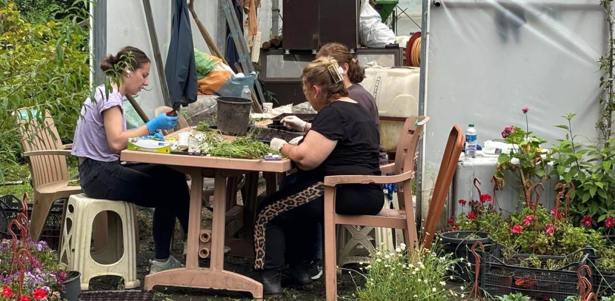 Meci Tarım Parkı'nda Ortak Emek: Ziraat Odası ile Belediyeden Örnek İş Birliği
