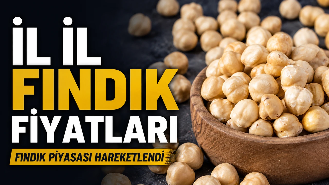 Fındık Piyasası Hareketlendi: Giresun’da Fiyat 250 TL’yi Gördü