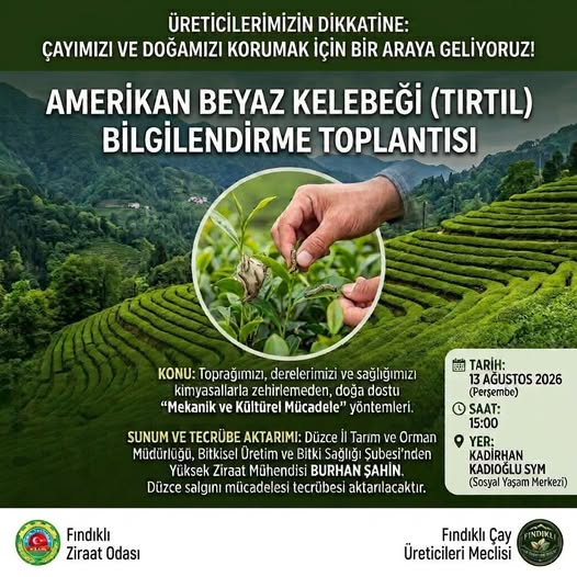 Fındıklı’da Amerikan Beyaz Kelebeği’ne Karşı Doğa Dostu Mücadele Toplantısı