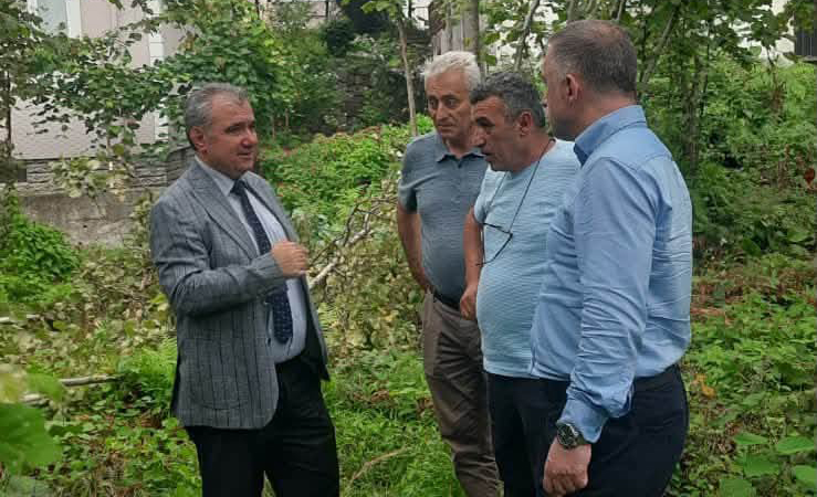 Amerikan Beyaz Kelebeği ve Uzun Antenli Turunçgil Böceğiyle Mücadelede Önemli Adım