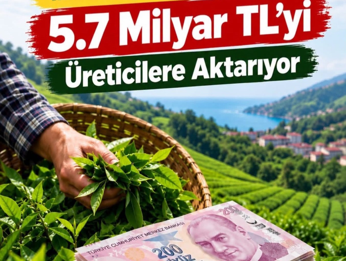 ÇAYKUR’dan Üreticiye 5,7 Milyar Liralık Çay Ödemesi