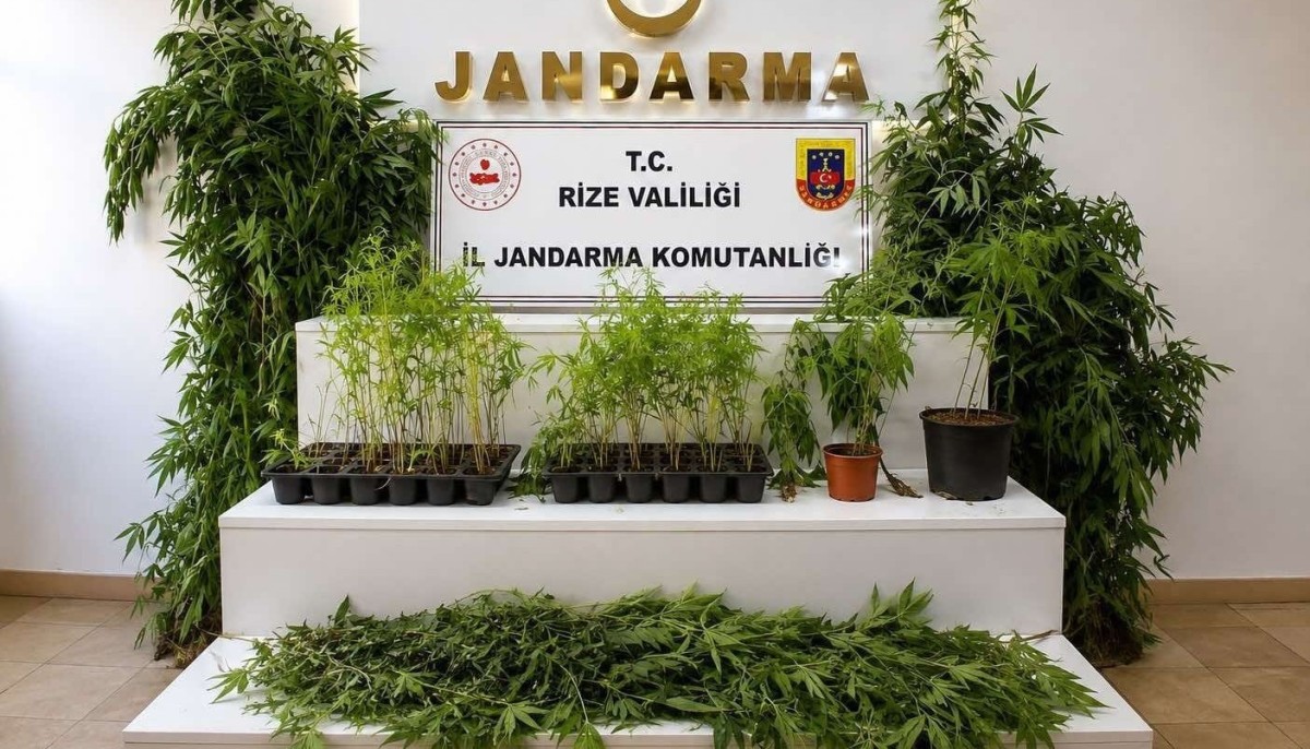 Rize Jandarmasından Ağustos Ayında Suçlulara Geçit Yok: 77 Aranan Şahıs Yakalandı