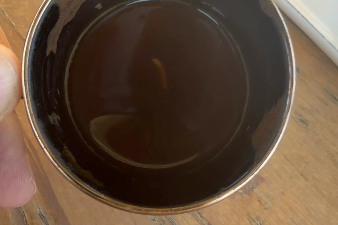 Düzce'de 'Türk kahvesinin içinden kurt çıktı' iddiası