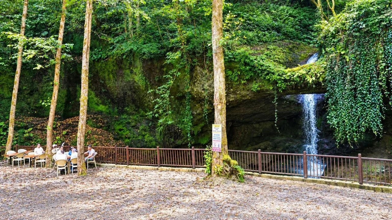 Murgul’da Delikli Kaya Orman Parkı İçin Yeni Adımlar