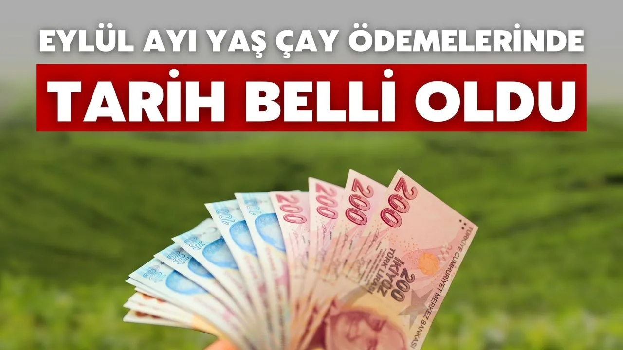 ÇAYKUR’dan Üreticilere Eylül Ayı Yaş Çay Ödemesi! Tarih Belli Oldu